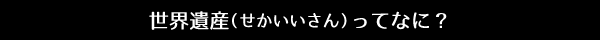 世界遺産（せかいいさん）ってなに？