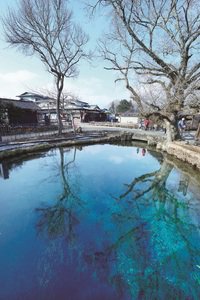 忍野八海（湧池）