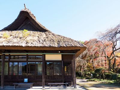 秩父宮記念公園