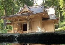 世界遺産富士山と自然、グルメを満喫!（日帰り）