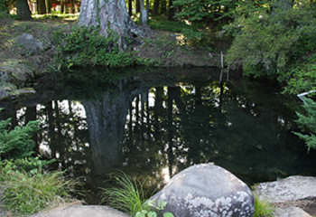 忍野八海（底抜池）