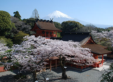 富士山本宮浅間大社