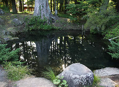 忍野八海（底抜池）