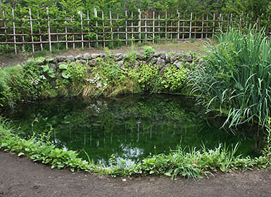 忍野八海（銚子池）