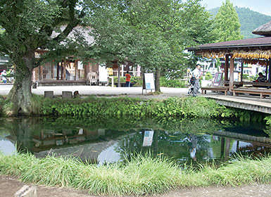 忍野八海（湧池）