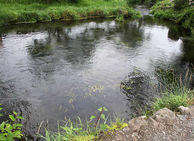 忍野八海（濁池）