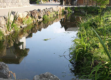 忍野八海（鏡池）
